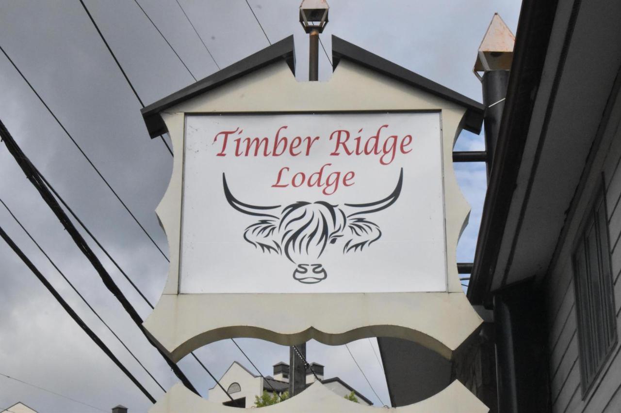 Timber Ridge Lodge 蓋特林堡 外观 照片
