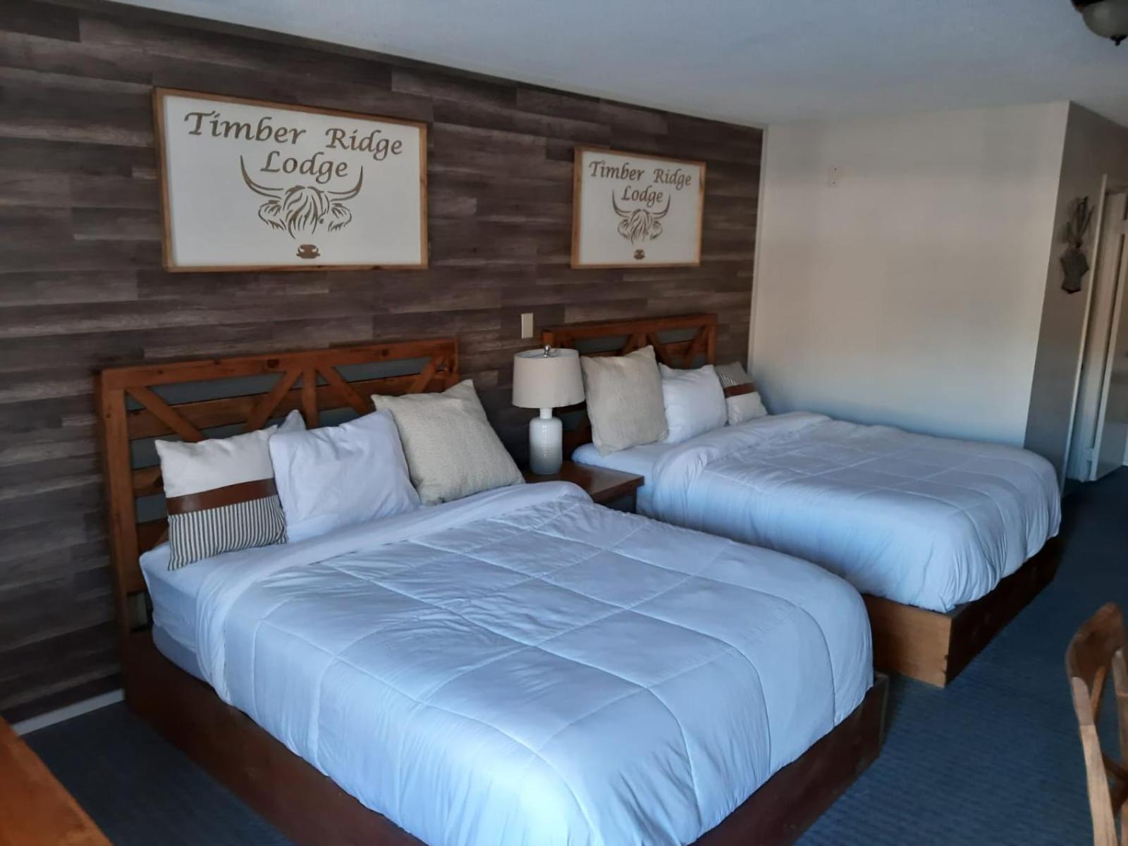 Timber Ridge Lodge 蓋特林堡 外观 照片