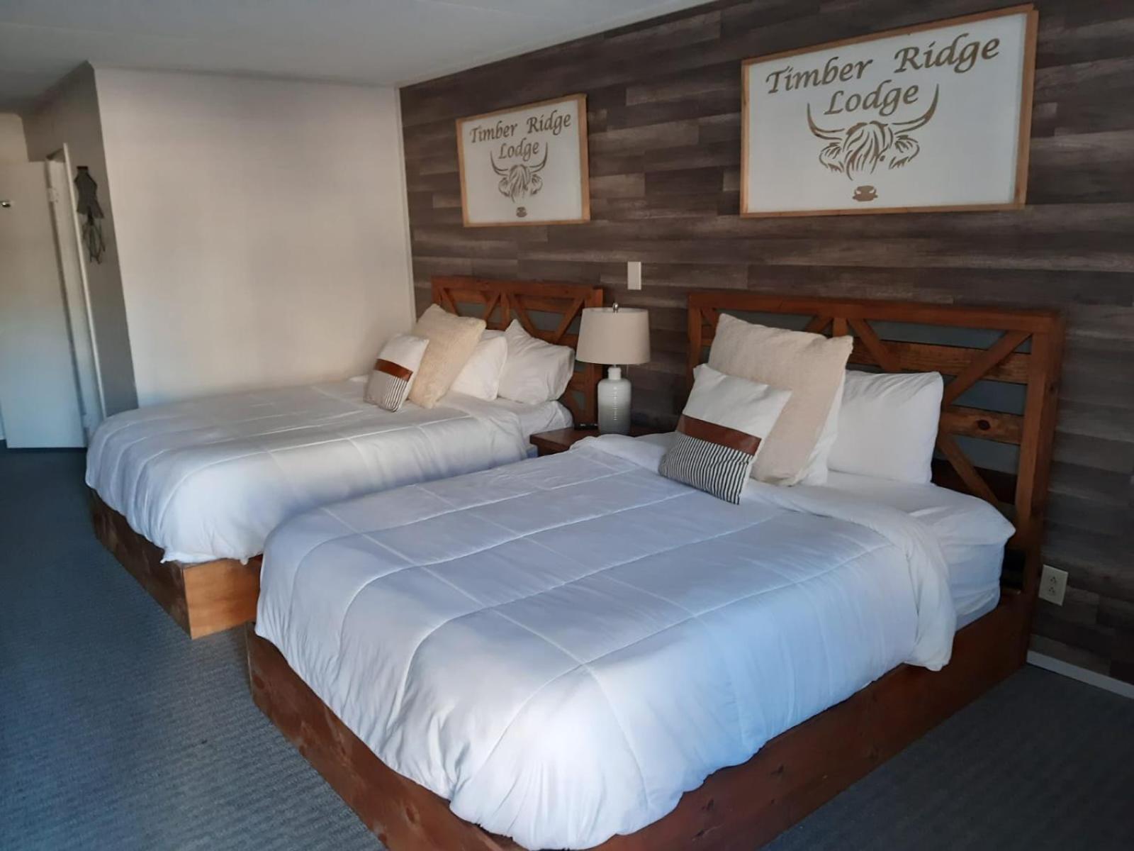 Timber Ridge Lodge 蓋特林堡 外观 照片