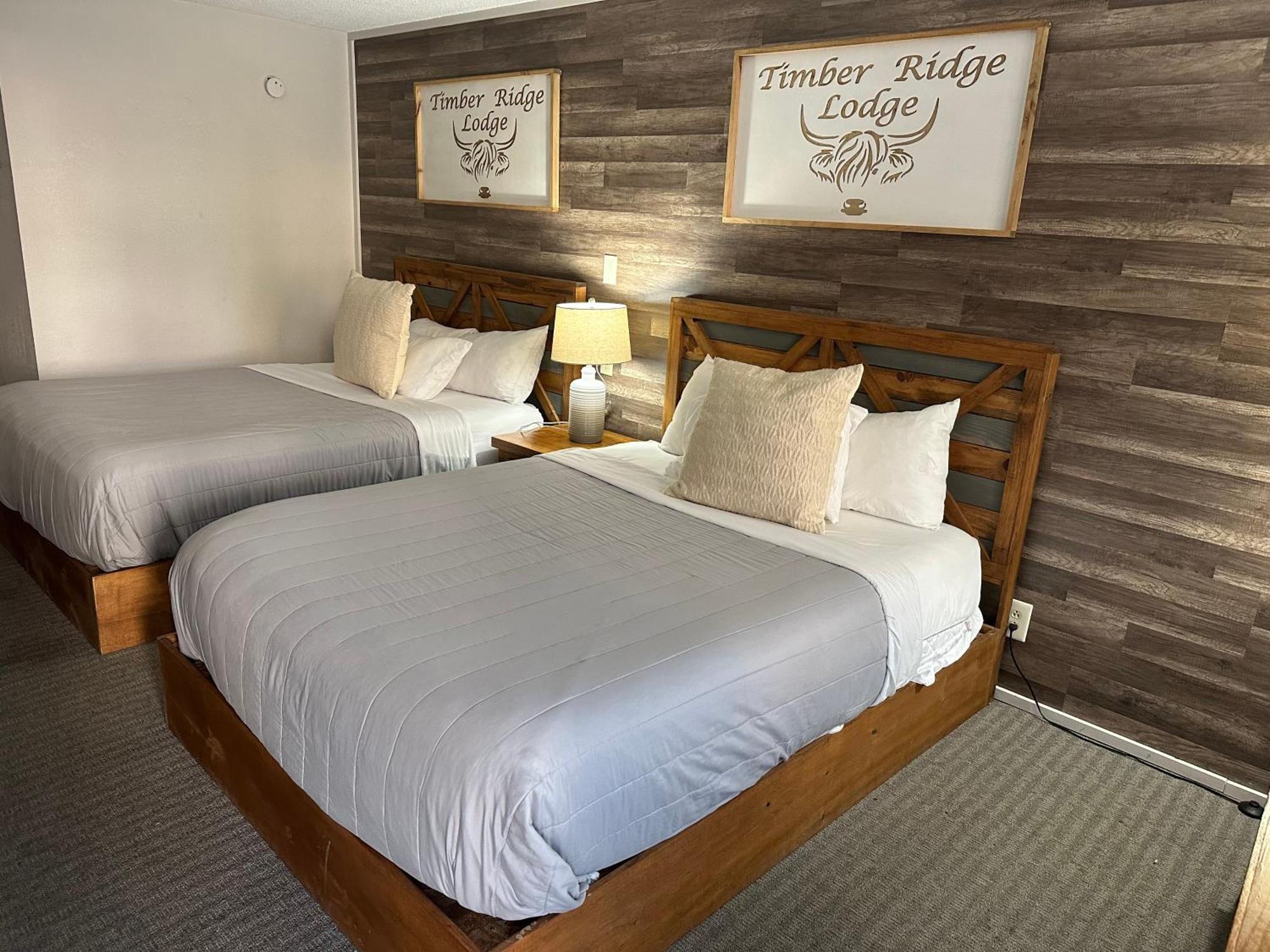 Timber Ridge Lodge 蓋特林堡 外观 照片