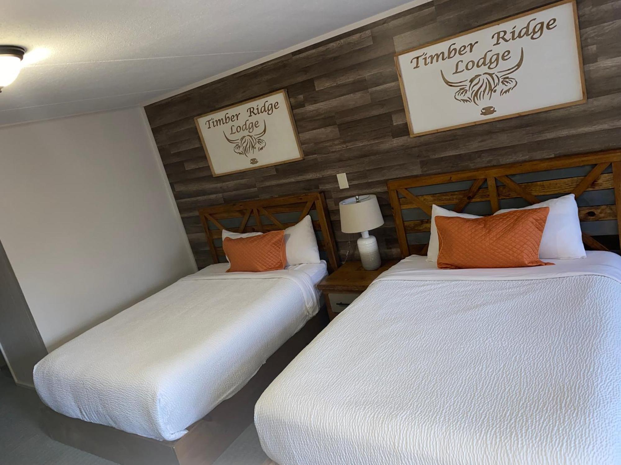 Timber Ridge Lodge 蓋特林堡 外观 照片